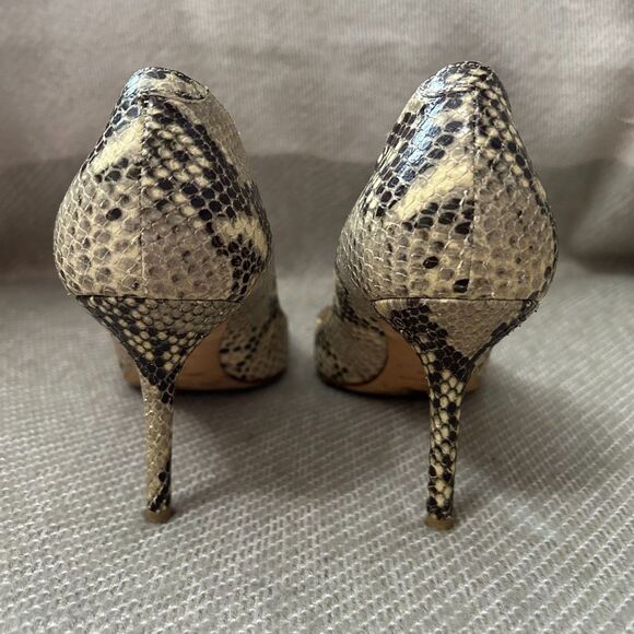 Jimmy Choo Gilbert Snakeskin Python Leather Pumps - Picture 7 of 14